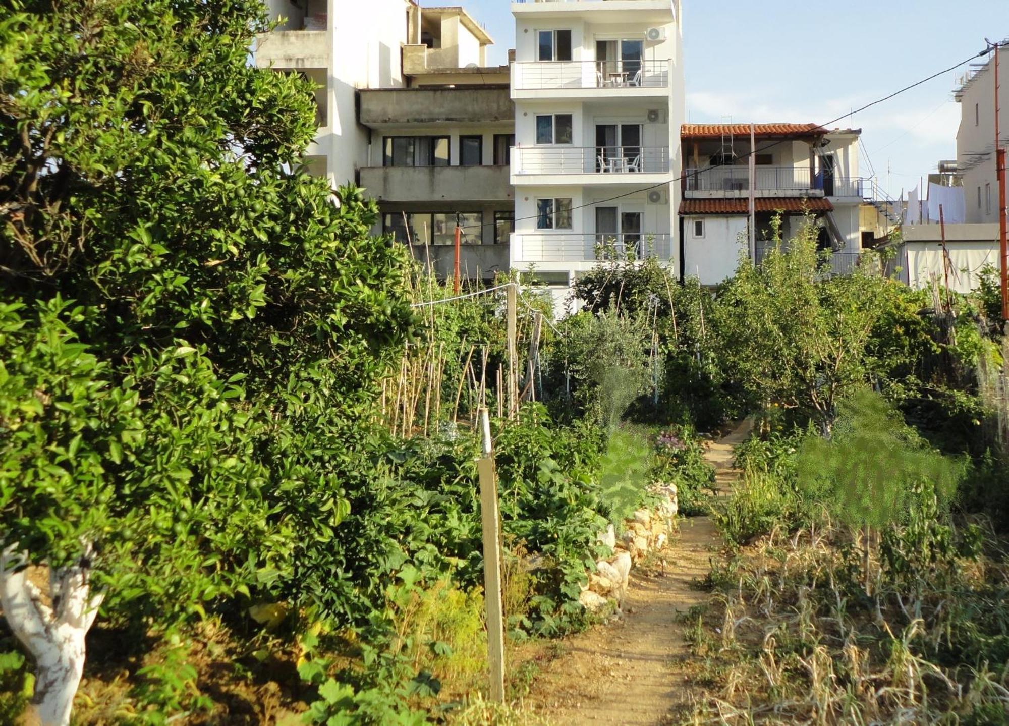 Spiro Guest House Himare Ngoại thất bức ảnh